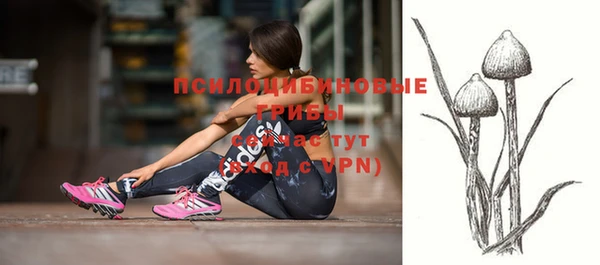 MESCALINE Вяземский
