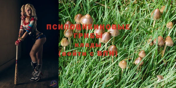 Альфа ПВП Баксан