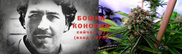 каннабис Арсеньев