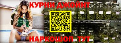 гидра Берёзовский