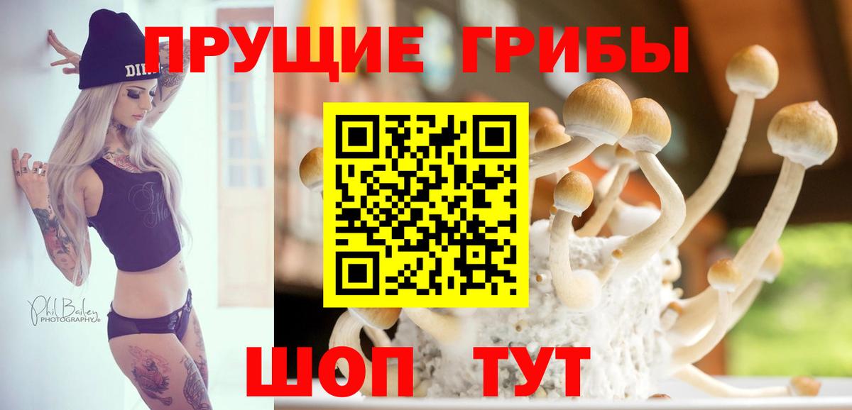 Галлюциногенные грибы Magic Shrooms Ахтубинск
