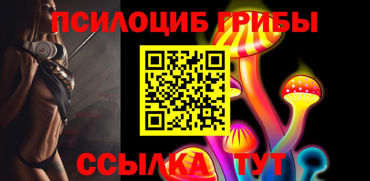 Ахтубинск  Псилоцибиновые грибы Cubensis  Вход с VPN 